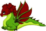 Rose Dragon